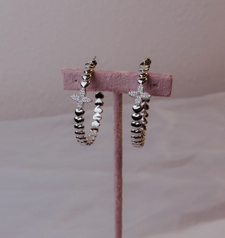 Spoiled 316L Stainless Steel Earrings