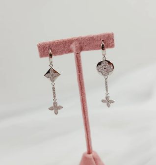 Wink Wink 316L Stainless Earrings