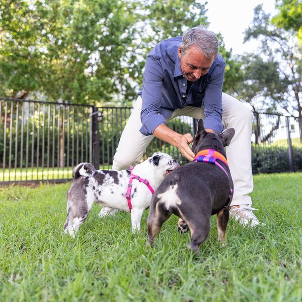 Get Joy and Renowned Longevity Expert Dan Buettner, Founder of Blue Zones, Present Aging on ‘Paws’: 10 Keys to Dog Longevity