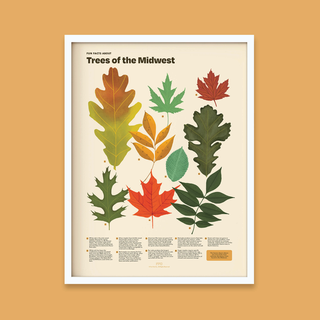 Trees of the Midwest Print-gallery-44322482815222