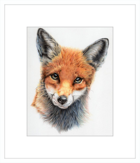 Michael the Red Fox
