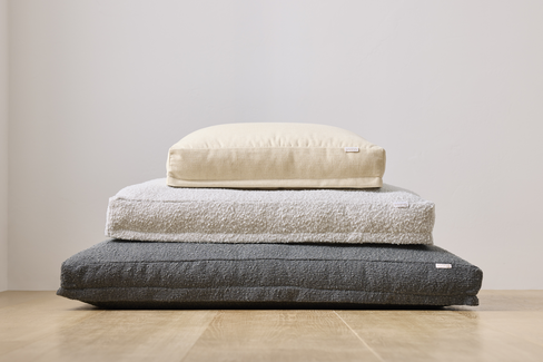Saatva Dog Bed