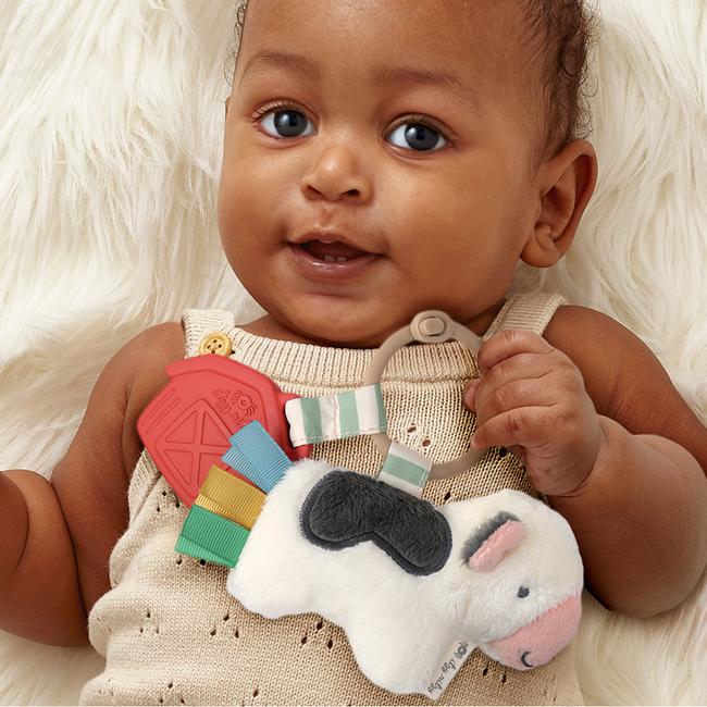Itzy Pal™ Infant Toy-gallery-36760666538155