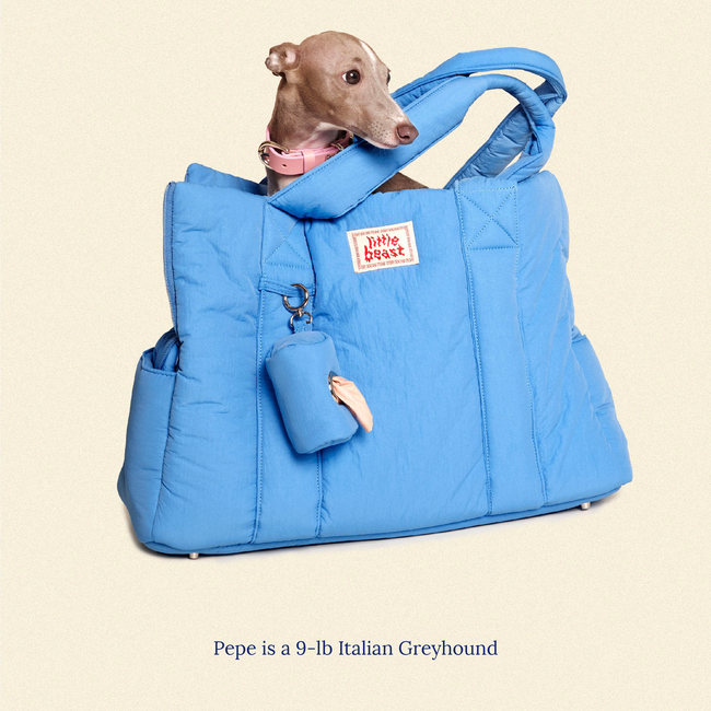 The Little Beast Carrier - Baby-gallery-46260126286110