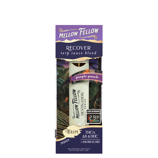 Recover Blend - Terp Sauce 2ml Disposable Vape - Purple Punch (Indica)-gallery-36989971792078