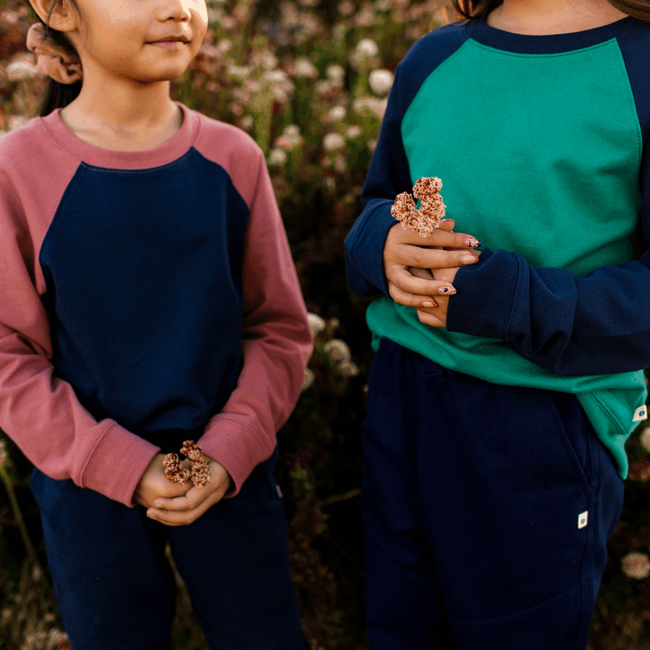 Stevie Raglan Sweatshirt - Navy & Rose Color Block-gallery-47001102352683