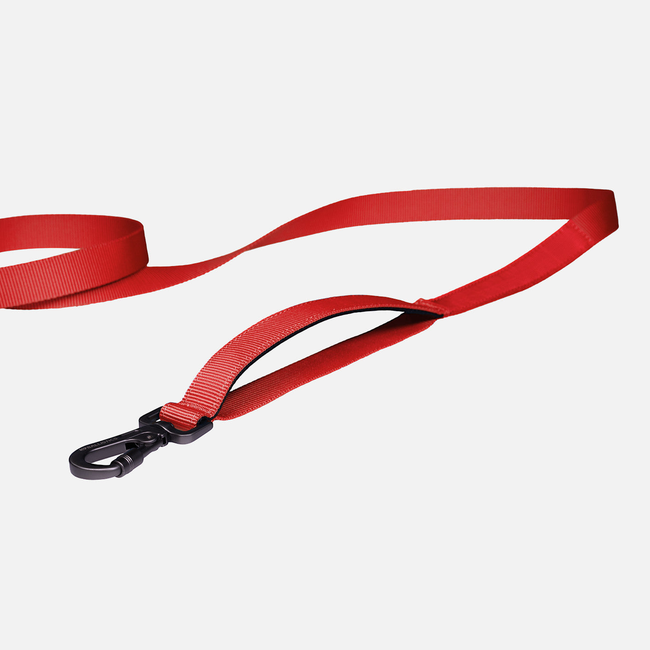 K9 Everyday™ Dog Leash-gallery-35504204251275