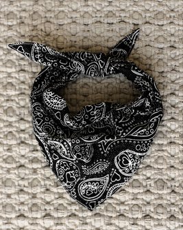 Ozzie Black Paisley Print Dog Bandana