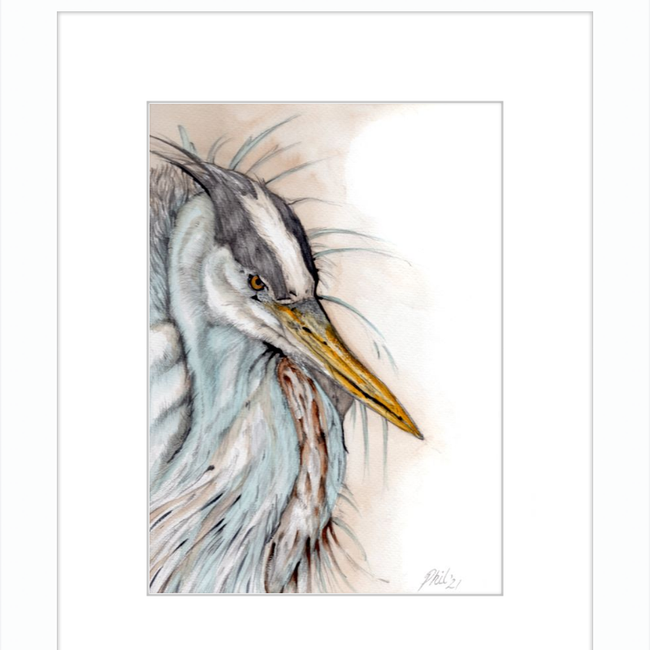 Heron-gallery-49475810165027