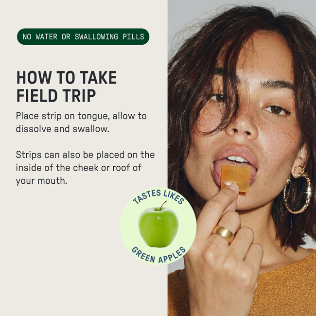 Field Trip-gallery-52710952698160