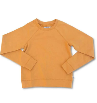 Stevie Raglan Sweatshirt - Butterscotch