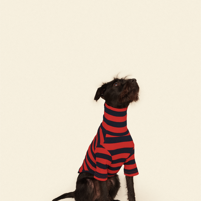 Ivy League Shirt-gallery-61904989946142