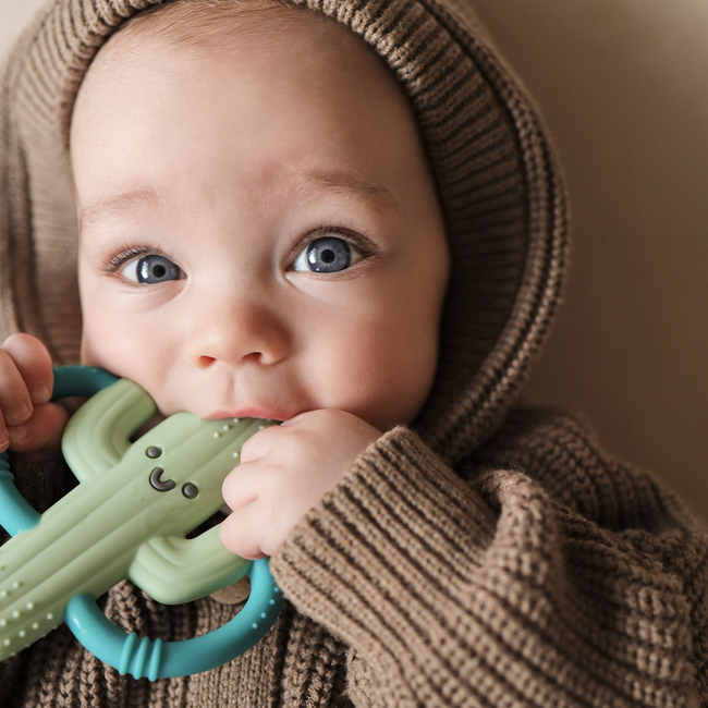 Chew Crew™ Silicone Handle Teether-gallery-37307220983979