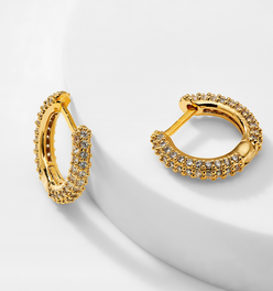 SMALL PAVE HUGGIE HOOP EARRINGS