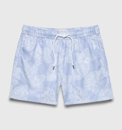 Jimmy 5" Stripe Floral Volley - Blue