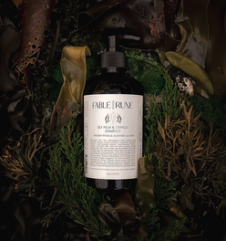 SEA PALM & CYPRESS SHAMPOO