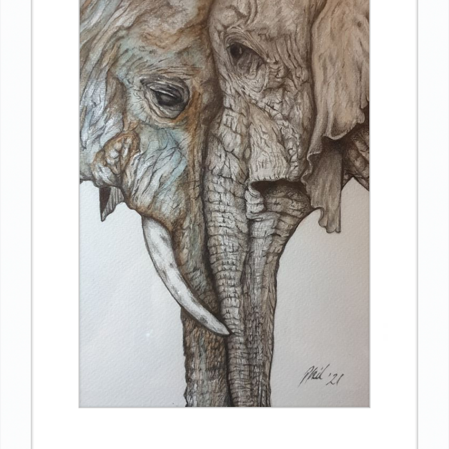 Mother and Child Elephants-gallery-49450437968163