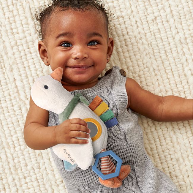 Bitzy Traveler™ Developmental Sensory Toy-gallery-38402104230059