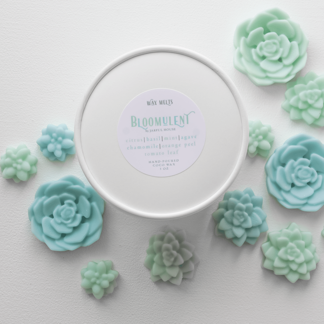 Bloomulent Succulent Wax Melts - Refreshing Spring Aroma | Natural Coco Wax-gallery-31103000215622