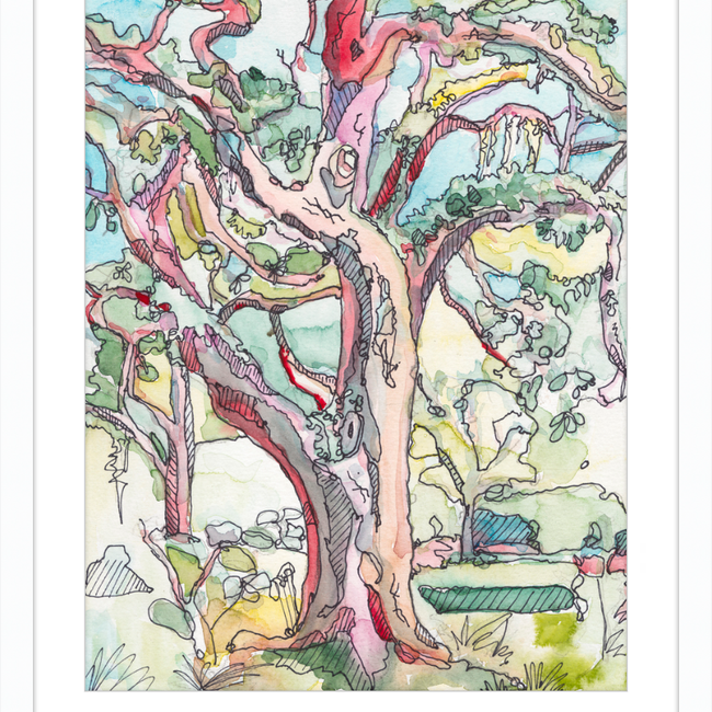 Sunny Oak in Forsyth Park-gallery-48984869241123