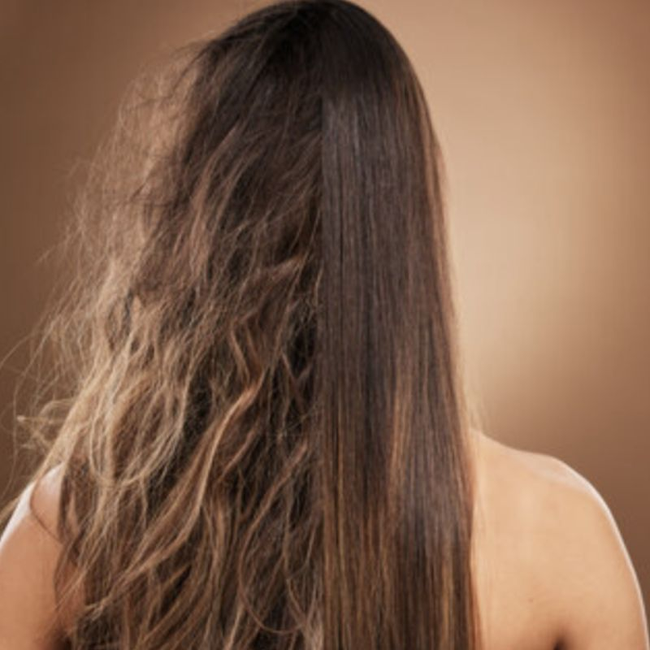 Thicker Hair + Volume Bundle Kit-gallery-44231724269799