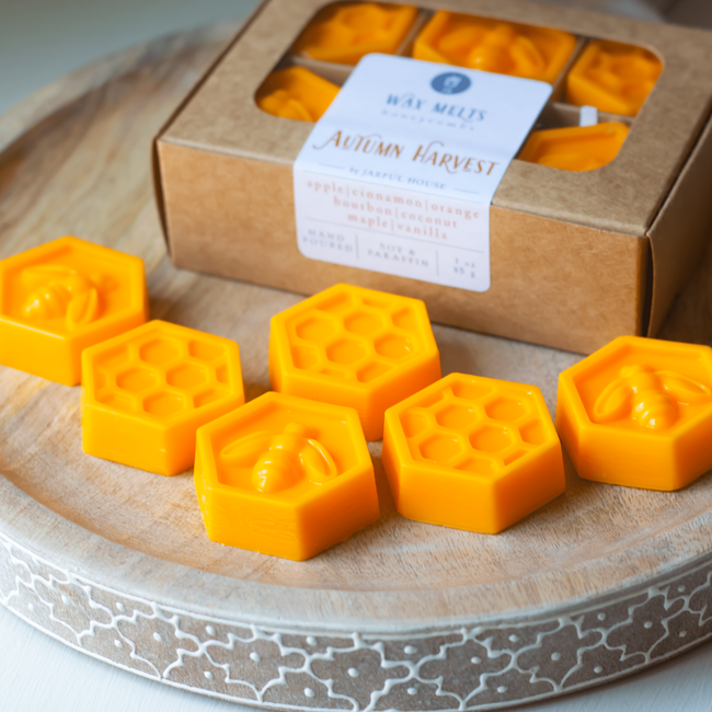 Autumn Harvest Wax Melts - Honeycomb Shaped Set of 6 | Apple, Orange, Cinnamon, Bourbon, Coconut, Bu-gallery-29436988784710