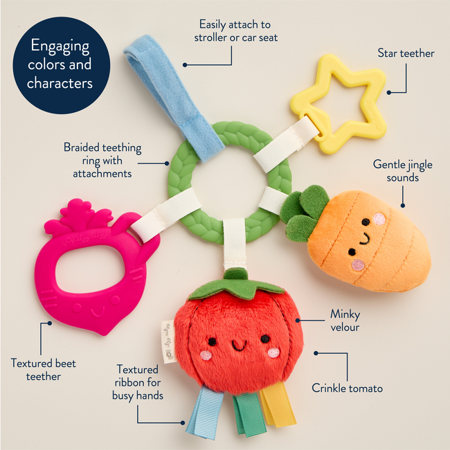 Bitzy Busy Ring™ Teething Activity Toy-gallery-39652968726699