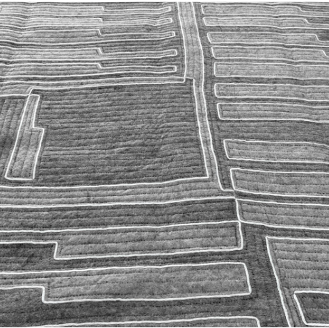VSU 61.1 Vectors Shyrdak Rug-gallery-36747154489520