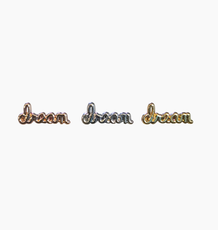 Chasing Dreams