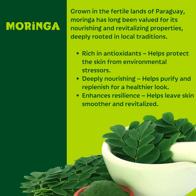 Setú® Daily Cleanser for Men with Moringa & Yerba Mate | Gentle Face Wash-gallery-62976785875231
