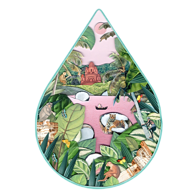 Coconut Oil, 100% Organic-gallery-39495942504625