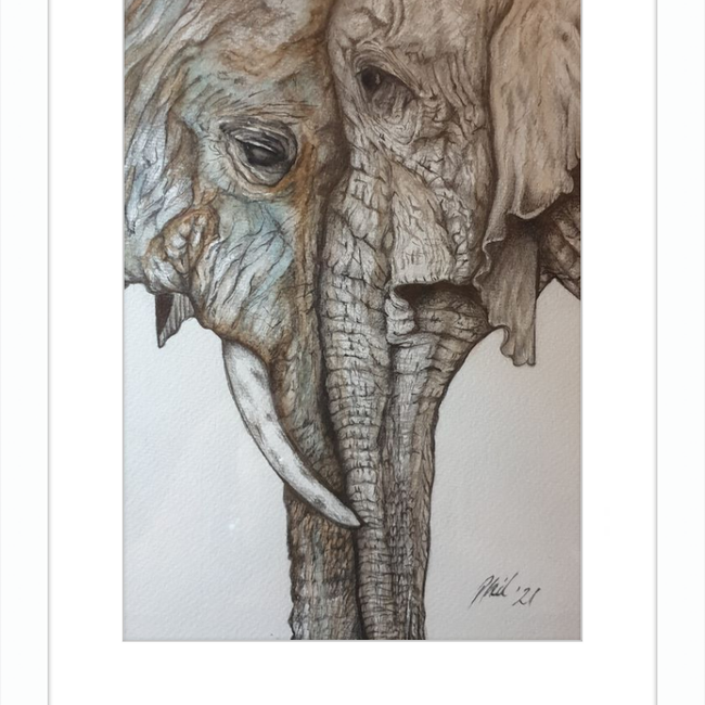 Mother and Child Elephants-gallery-49450437706019