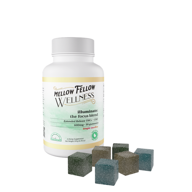 Wellness Gummies - Illuminate: The Focus Blend - Tropic Medley - 600mg-gallery-0