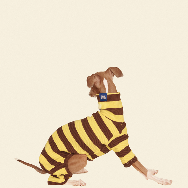 Dijon Onesie-gallery-61904992403742