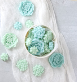 Bloomulent Succulent Wax Melts - Refreshing Spring Aroma | Natural Coco Wax