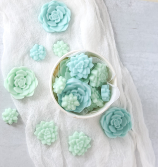 Bloomulent Succulent Wax Melts - Refreshing Spring Aroma | Natural Coco Wax