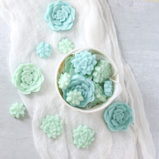 Bloomulent Succulent Wax Melts - Refreshing Spring Aroma | Natural Coco Wax-gallery-31127373873222