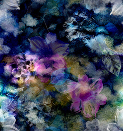 Peel and Stick Wallpaper - Bryony Storm / Noir