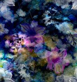 Peel and Stick Wallpaper - Bryony Storm / Noir