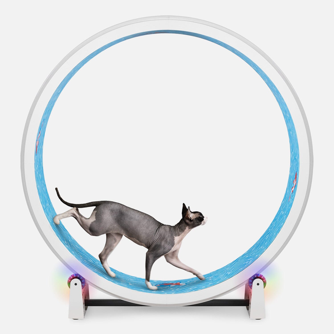 Cat Exercise Wheel-gallery-32508072329239