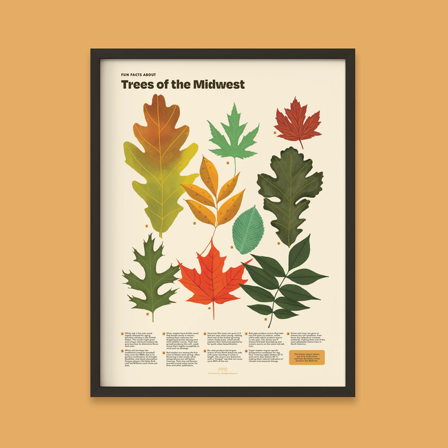Trees of the Midwest Print-gallery-44322482782454