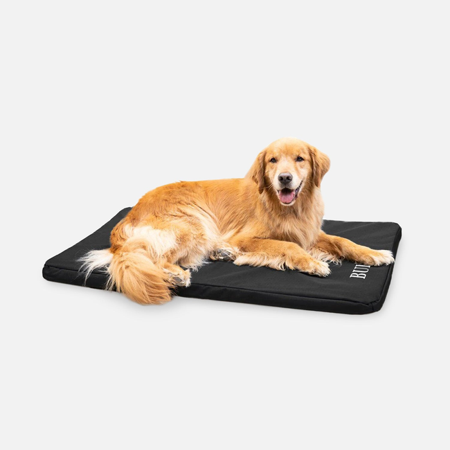 Tough Ripstop™ Orthopedic Dog Crate Bed-gallery-35524664098955