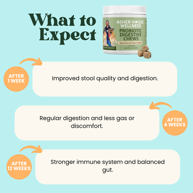 Probiotic Digestive Chews | Flora + Flourish-gallery-35118019838161