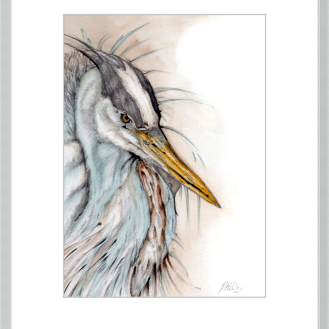 Heron-gallery-49475810033955