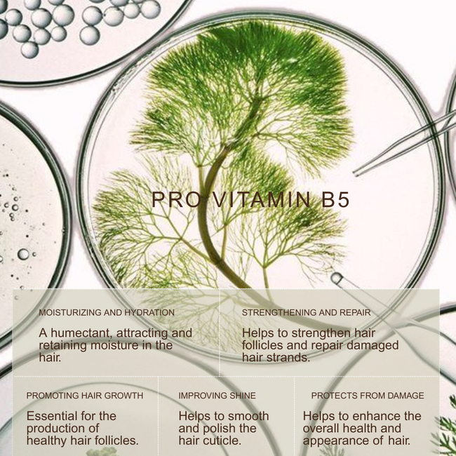 ROOTED REVIVall™ Cuticle Mending Peptide System – Breakage & Restoration Treatment Set-gallery-50399434572000
