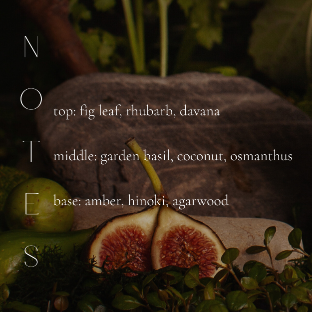 HINOKI & WILD FIG CANDLE-gallery-40819698466978