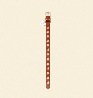 Hazel - Flower Power Collar