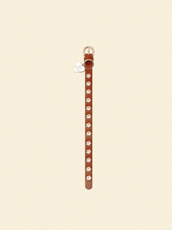 Hazel - Flower Power Collar