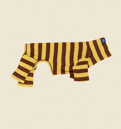 Dijon Onesie