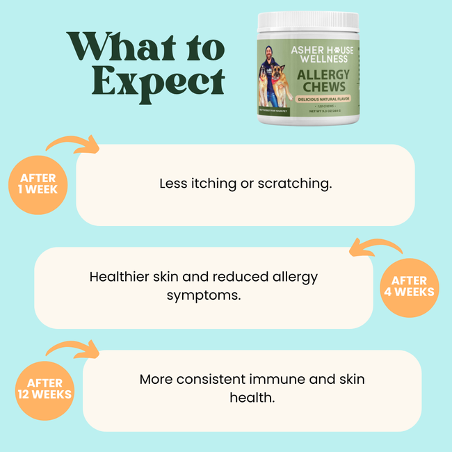 Allergy Chews | Soothe + Shield-gallery-35118023508177